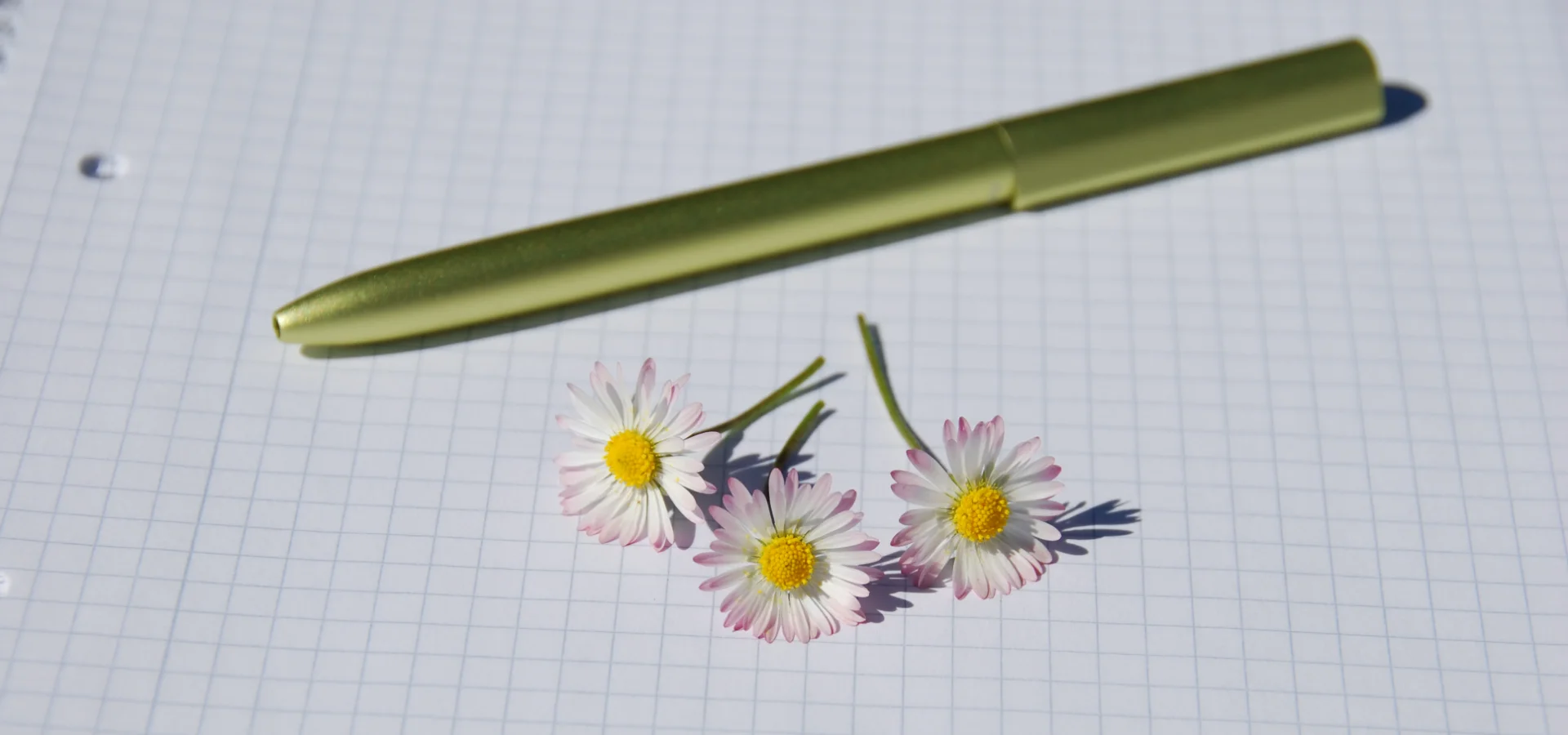Bild von Schreibblock, Stift und Gänseblümchen