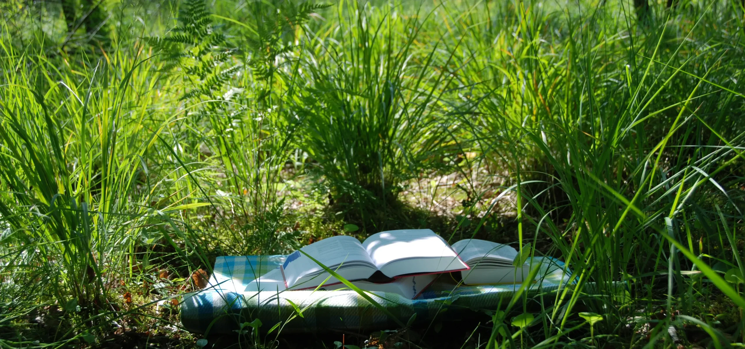 Lektorat Bücher in der Natur